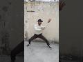 Kungfu Wushu Action Learn Kungfu Taichi Shaolinwudangkungfu