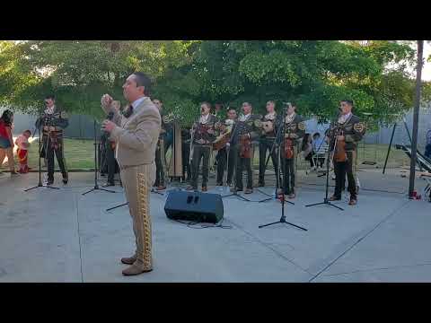 Sufriendo A Solas-Arturo Vargas