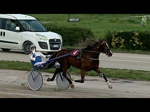 Aversa trotto 11 Marzo 2023 - 2° Corsa