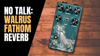 Video thumbnail for Walrus Audio Fathom Reverb | Reverb Demo | No Talk by Daniel Sonnora