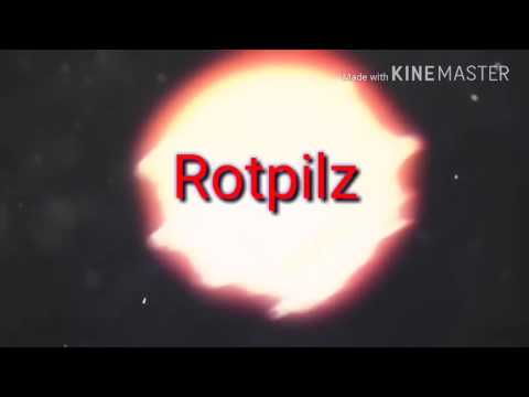Intro für Rotpilz