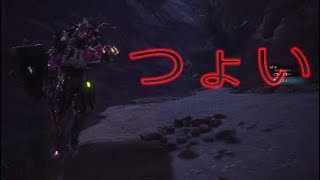 初歴然でこれは厳しい気がするぅ【MHW実況】part 30