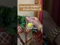 Negative Energy Removal from Home | Negative Energy Removal Mantra #shorts #short #negativeenergy