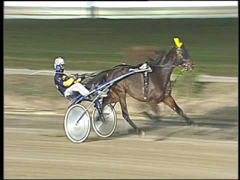 Trotto 16/12/2016 - 7ª corsa