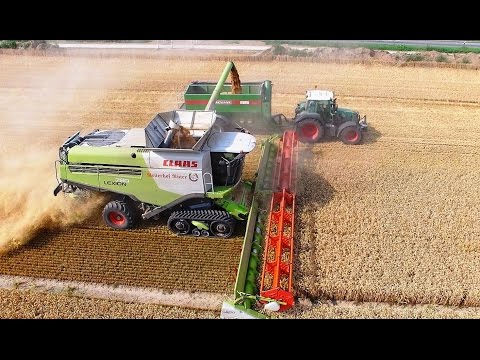 Mähdrescher CLAAS LEXION 780 Terra Trac - Fendt Weizenernte biggest combine harvester wheat harvest