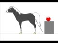 MS Paint Animation Frustration
