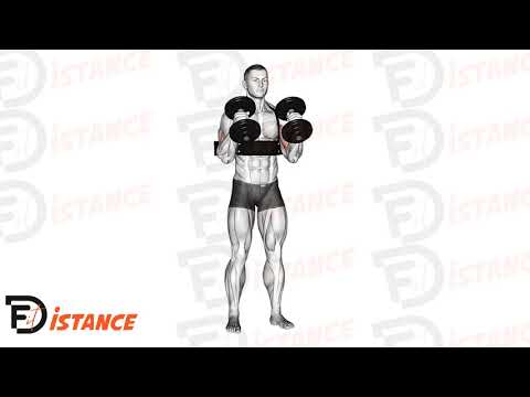 Exercice Curls marteau avec haltères (avec arm blaster)