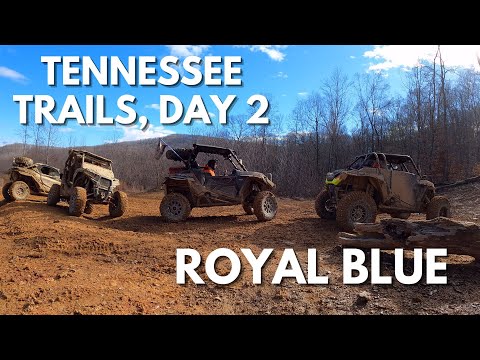 Tennessee Trails Riding - Day 2 | Royal Blue - the adventure continues!