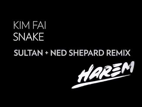 Kim Fai - Snake (Sultan & Ned Shepard Remix)