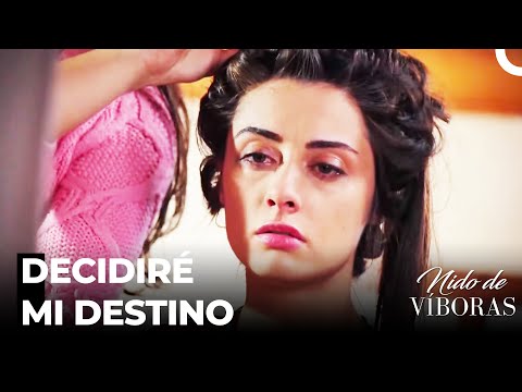 Esta Es Mi Historia, Es Mi Vida - Nido De Víboras