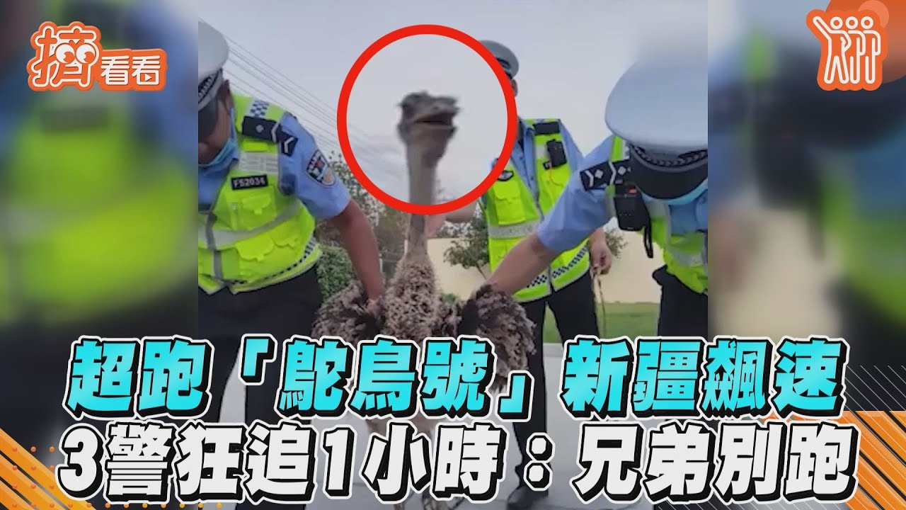 影音／超跑「鴕鳥號」新疆飆速　3警狂追1小時：兄弟別跑