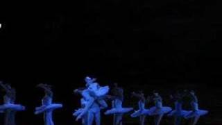 Julio Bocca y Alina Cojocaru en pdd de Lago de los Cisnes