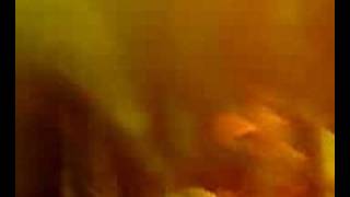 Siddharta - Maraton - Farmer