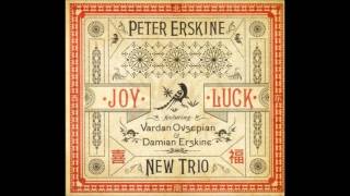 Peter Erskine New Trio - Something I Said
