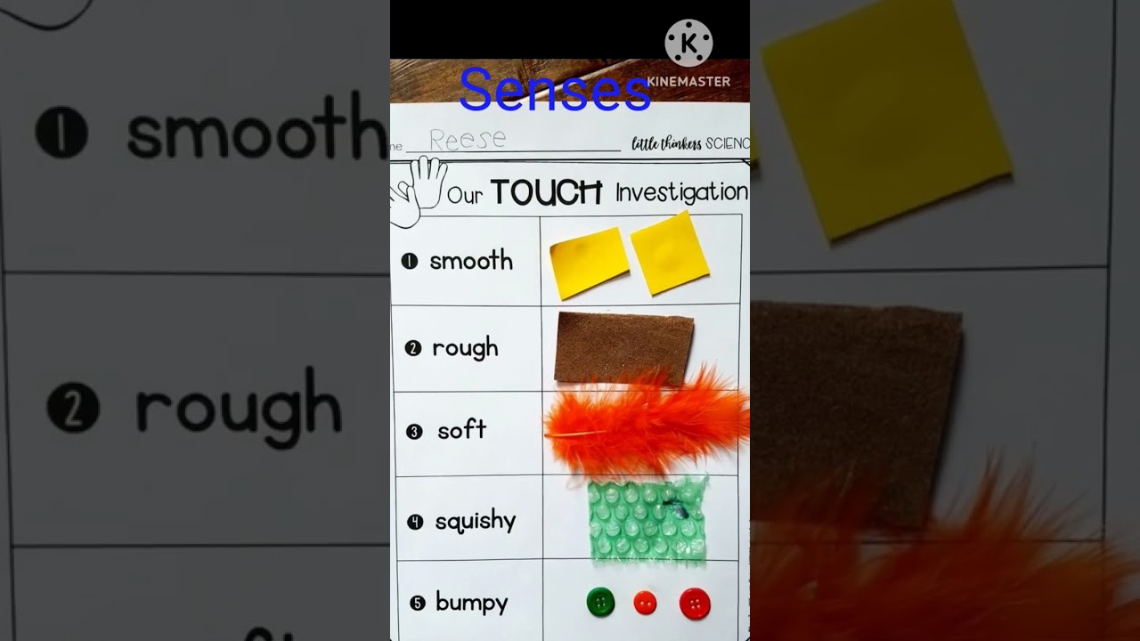 Senses| Diy texture board #sense #texture #shortsyoutube #diyshorts #ytshorts #short #tlm #diy