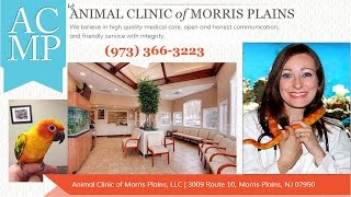 preview picture of video 'Animal Clinic of Morris Plains Welcome'