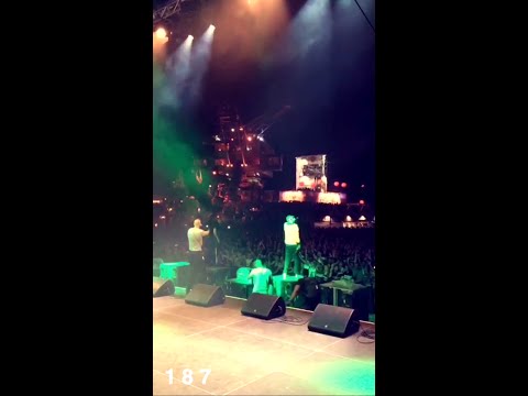 Splash! Festival 2016 / Tag 1 mit Stormzy, 187 Strassenbande, Yung Hurn, Flatbush Zombies & mehr