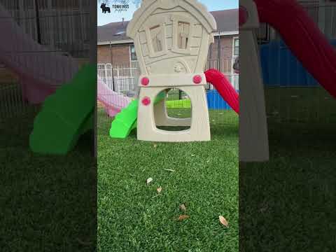 Video 2