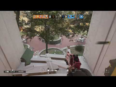 Alibi bait