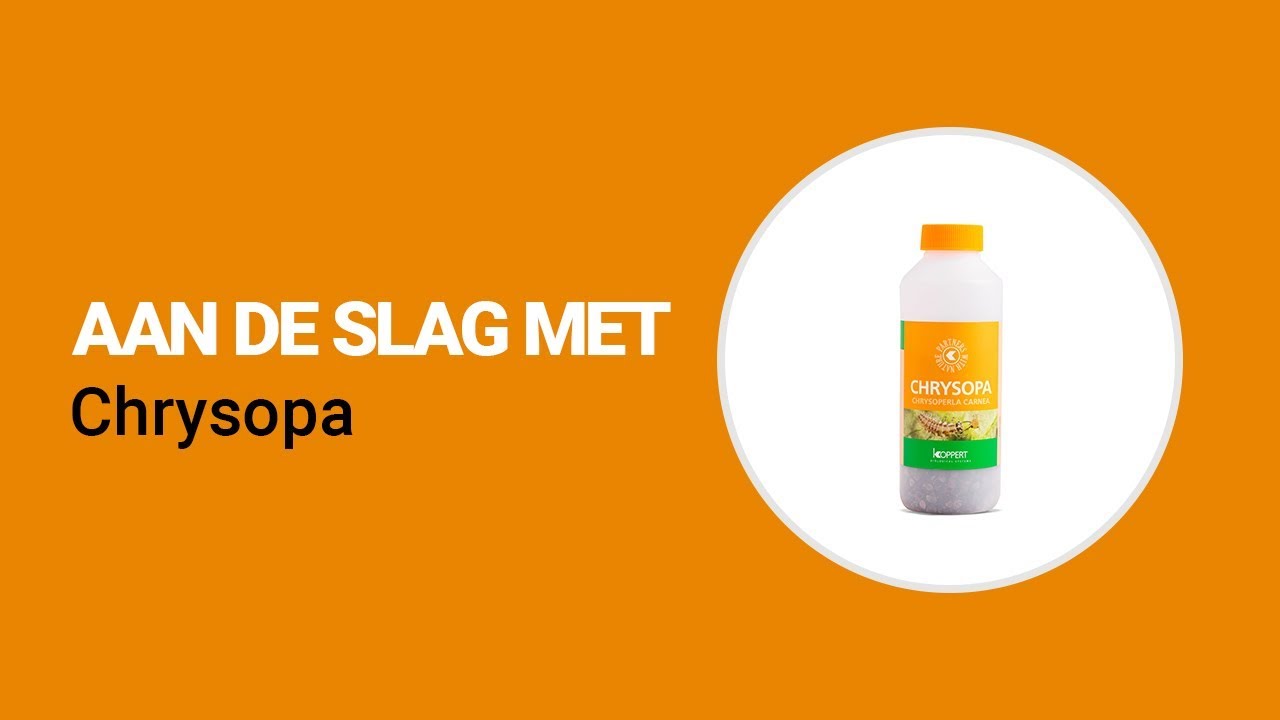 Video preview poster