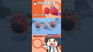 色違い厳選の旅「マケンカニ」