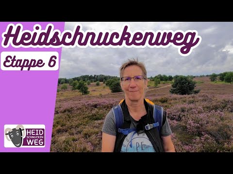 🐏Heidschnuckenweg🥾Etappe 6 - von Bispingen nach Soltau