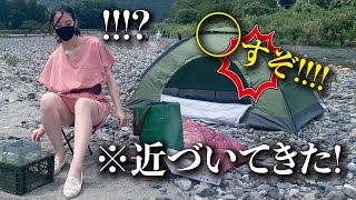 私に近づいてきた!その正体がヤバいって　#camping