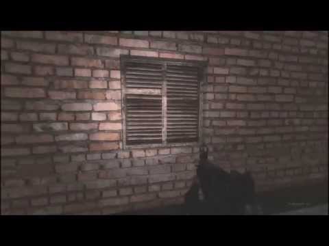 STALKER-SHOC Templars Parallax Mod