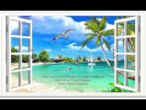 Yves Larock vs. Ummet Ozcan x Le Shuuk - Rise Up vs. Toast Hawaii (Yuriy Trysh Mashup n. 60)