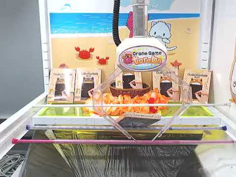 My fifth Toreba win! Tarushiba electronic memo pad!