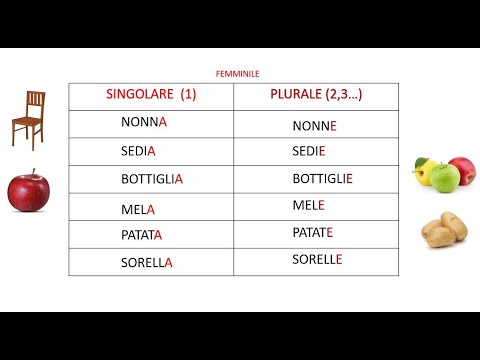 3. Nome Singolare Plurale