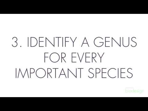 Tips for Drafting Provisionals: Part 1