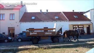 Video Dj emeverz - Removal