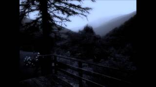 Sear Bliss - Far Above the Trees