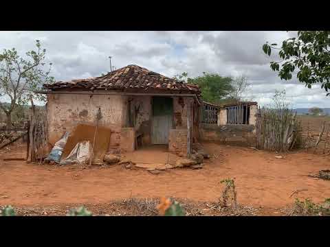 VÍDEO LINDO! MAIS DE 100 anos! Adustina, Sertão baiano.