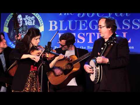 Thumbnail for Tony Trischka & Territory at Joe Val Bluegrass Festival by Tony Trischka