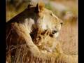 Morgan Heritage ~ Caught Up ~ - Marlouku Morgan Heritage ~ Caught Up ~