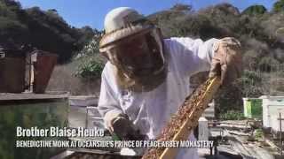 Bee keeping monk