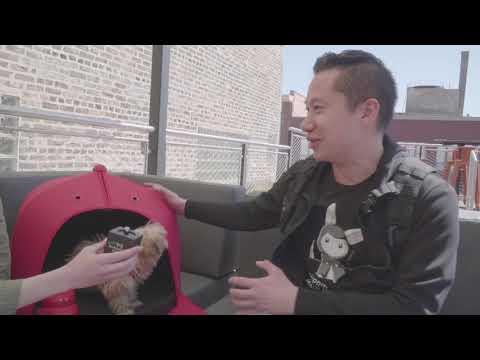 YouTube video