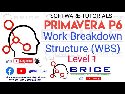PRIMAVERA P6 WBS WORK BREAKDOWN STRUCTURE Part1: P6 Lesson 3.1