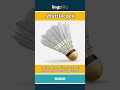 shuttlecock (noun) - definition and usage in English