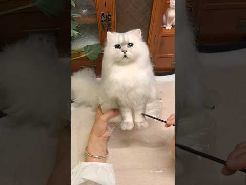 Made a real-like effigy of the cat 🐈 🌍🥹 | असली कारीगरी 😍