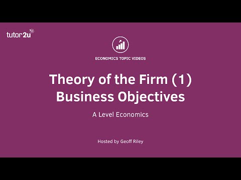 Theory of the Firm - Business Objectives I A Level and IB Economics