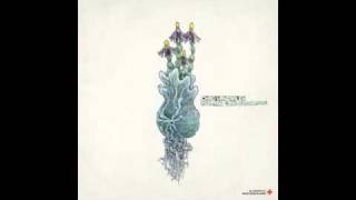 Chad VanGaalen- Your Tan Looks Superficial