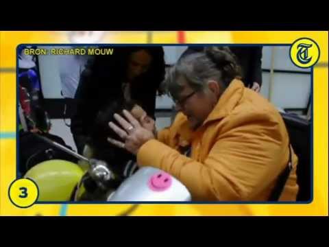 Nieuwsflits 20 December 2011 - Kat overleeft chemische afvalbak