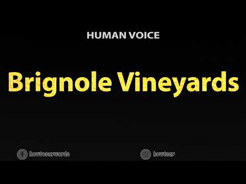 How To Pronounce Brignole Vineyards