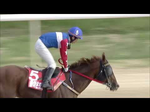 [Preview] Korea SPRINT KR contender