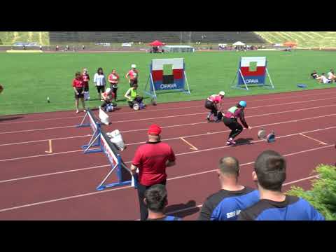 SDH Tísek   dorostenky   krajské kolo dorostu Opava 2021   100m překážek   Denisa Šenková 2p