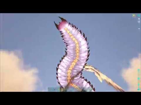 Arthropluera Trap: TAME THEM LIKE A PRO