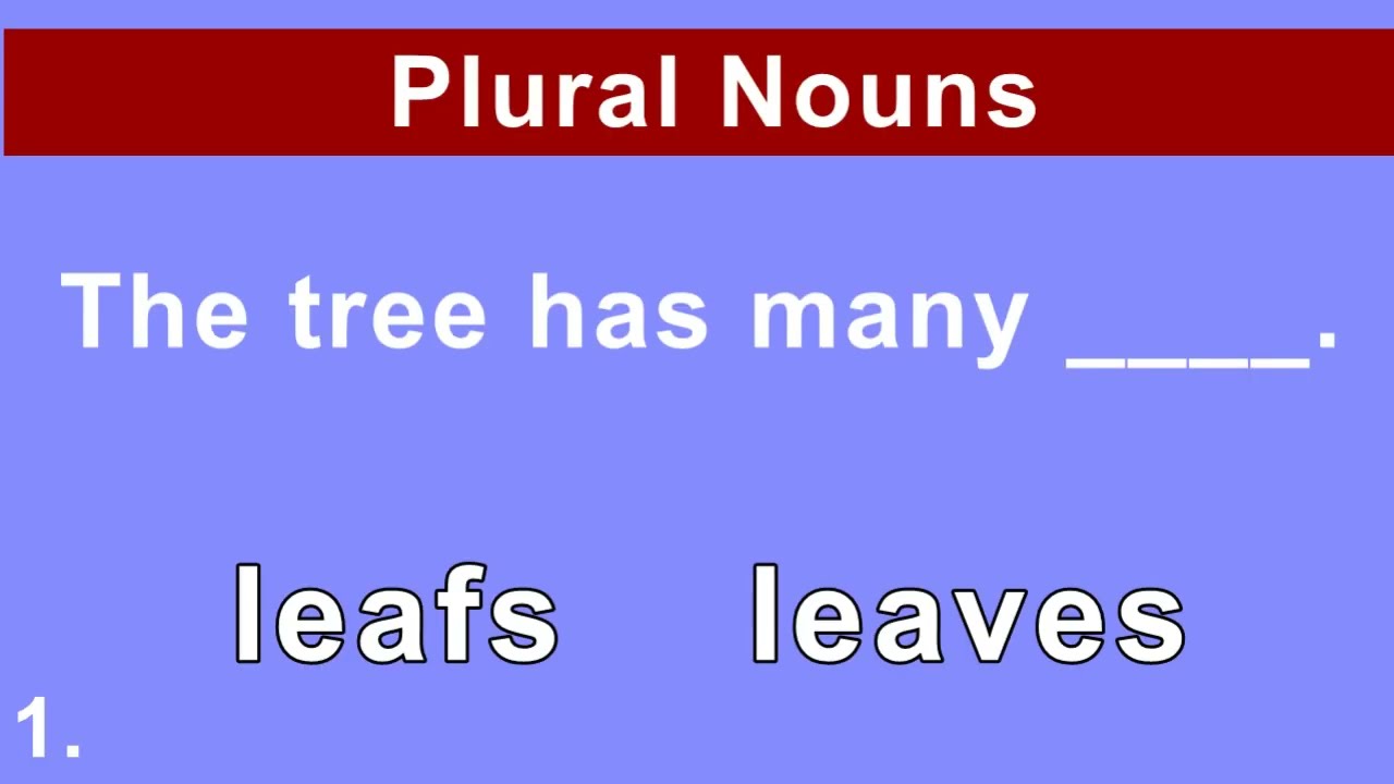 ESL English Test ! Plural Nouns | English Quiz for ESL students
